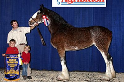 Grandview Justin's Oracle