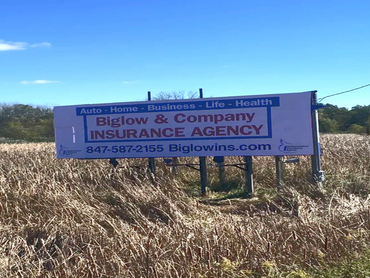 Billboards at Sign Appeal in Fox Lake