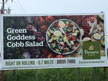 Billboards at Sign Appeal in Fox Lake
