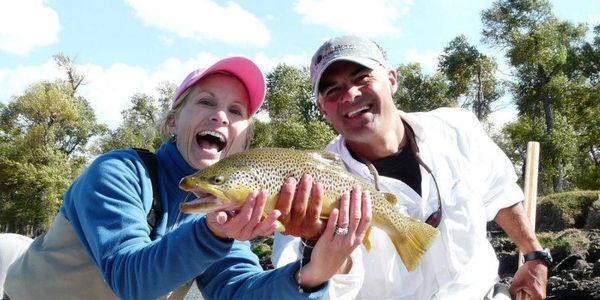 Yellowstone River fly fishing, Bozeman Montana.  Big brown trout