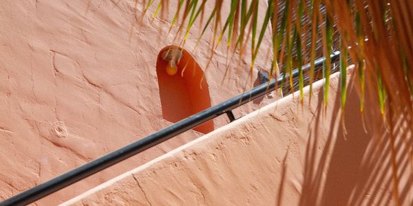 Sunlit stucco wall with a small arched window and shadowed palm leaves.