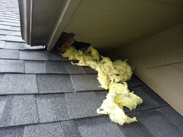 Insulation coming out of roof