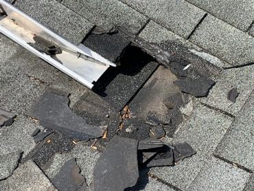 Roof shingles destroyed by raccoons/wildlife, showcasing potential home damage.