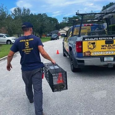Relocating trapped squirrel, ensuring humane removal and a wildlife-free property in NE FL