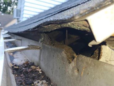 Bat damage on home exterior