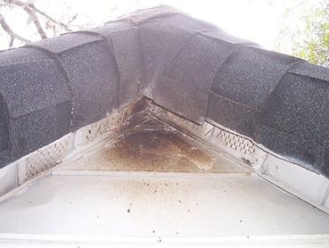 Bat damage on home exterior