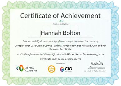 Dog grooming and boarding - Stockport - Barks and Bubbles