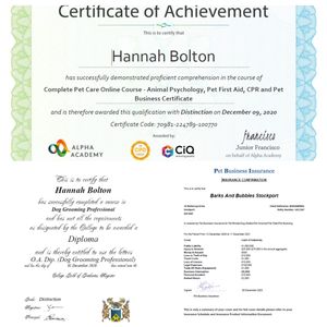 Dog grooming/Boarding in Stockport