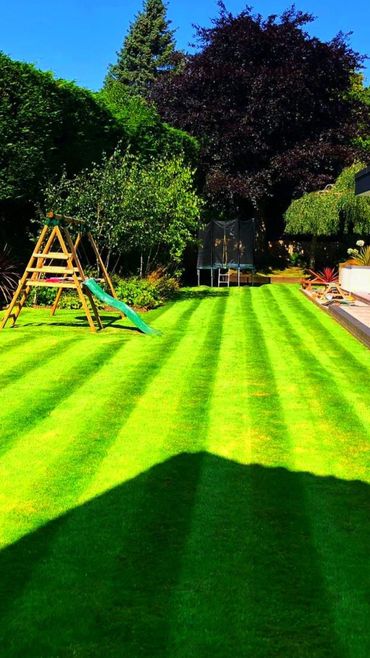 Grass cutting Service stepps.