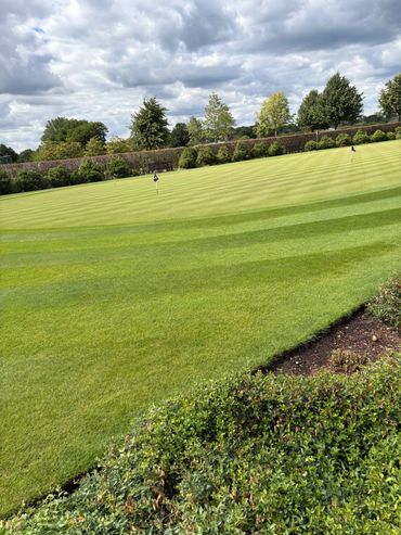 Grass Cutting service Stepps.