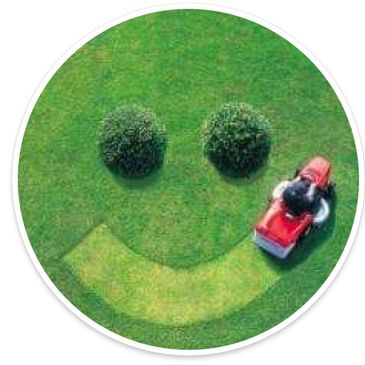 Grass cutting and  hedge cutting service, from a reliable and professional Gardening service.