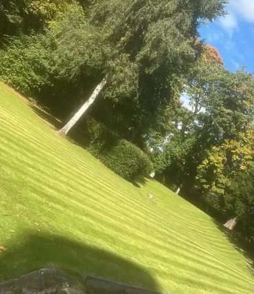 Grass cutting Service Stepps.