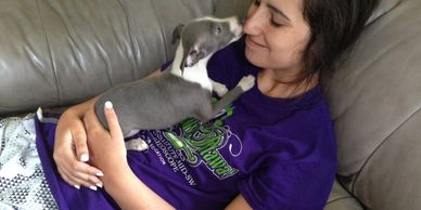 Beautiful Blue Italian Greyhound Puppy. Playful, cuddly, sweet. Loves to give kisses affectionate.