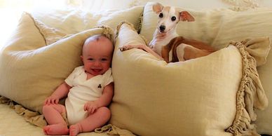 Red and white healthy puppy. Good with children and other pets. Social,sweet and affectionate. Tampa