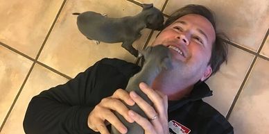 Healthy IG puppies bonded to each other and to family.  Affectionate loves to  give kisses sweet.