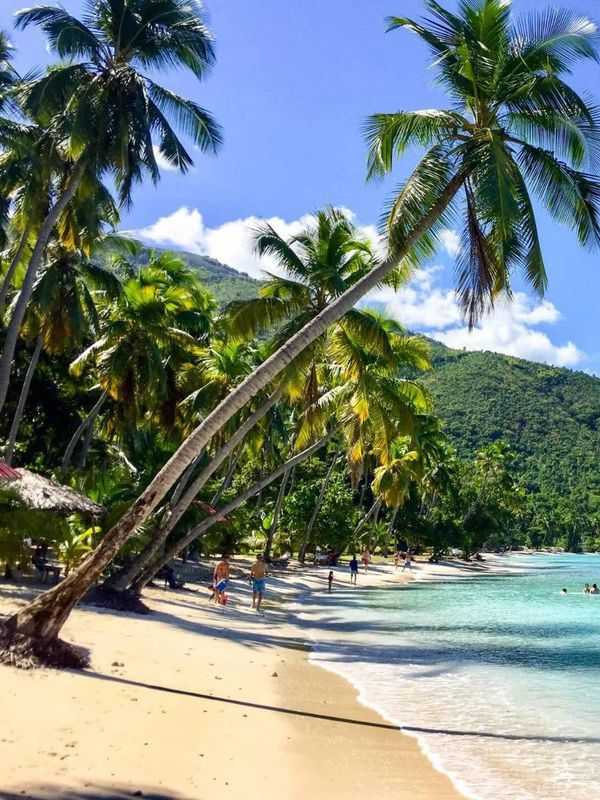 A tropical beach with palm trees, clear water, and a boat near the shore.