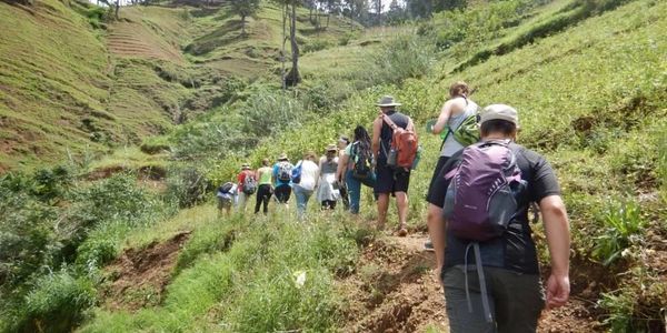 Group hiking uphill on a lush green trail.
