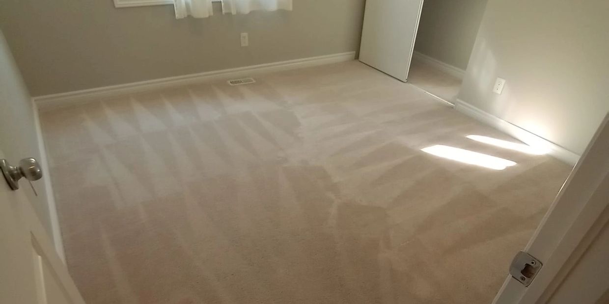 Steam cleaned carpet