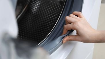 Checking the door seals