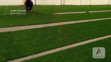 Lycee Francais LJM South 7