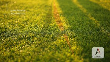 Lycee Francais LJM South 5