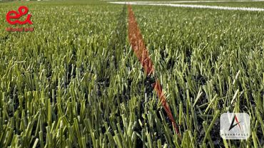 E& ETISALAT AND SOCIAL CLUB RAK 4