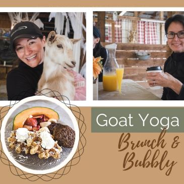 Enjoy goat yoga with brunch and bubbly.