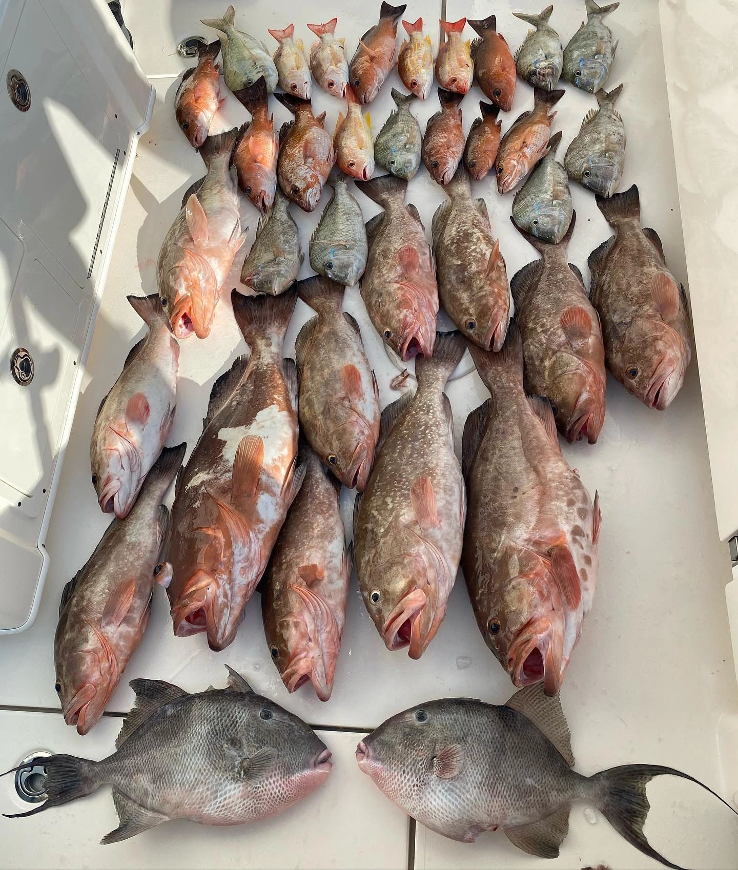 Off Shore Fishing Cape Coral Fishing Charters Cape Coral Fishing