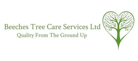 Beeches Tree Care Ltd