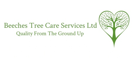 Beeches Tree Care Ltd