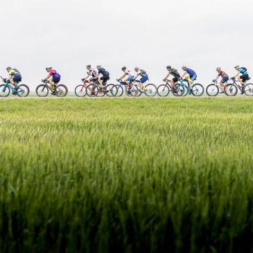 Cyclists riding in a row across a field.
