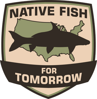 Native Fish For Tomorrow