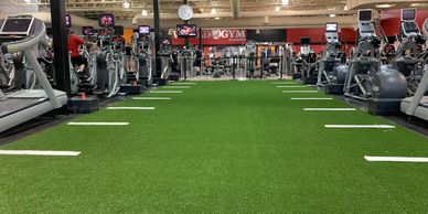 Artificial grass special for Gyms
Gym turf