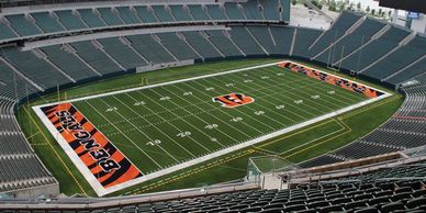 Cincinnati Bengals NFL Stadium