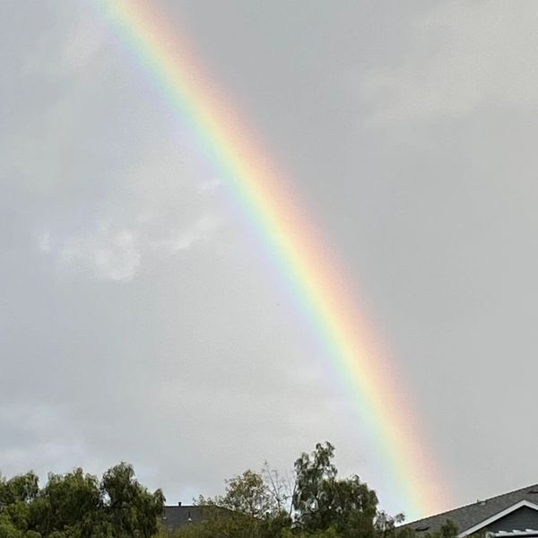 Let your mind relax. Let your conscious be free.