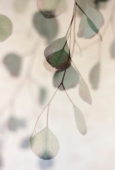 Emerging • Luminance Series
Gesso Print
15 x 20.25 inches