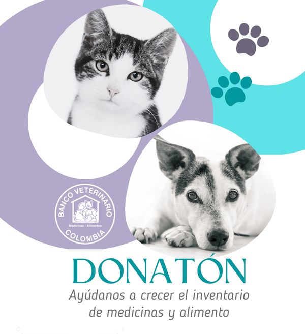 Donatón para perros y gatos  por Paypal desde fuera de Colombia