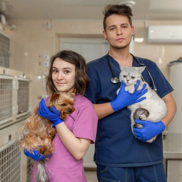 Donaciones en aportes económicos