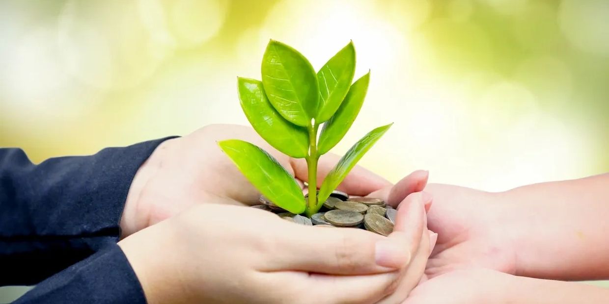 Sustainable decluttering solutions with Organzing with Joy San Diego