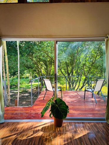 Sunlit balcony with two chairs and a potted plant inside a cozy room.