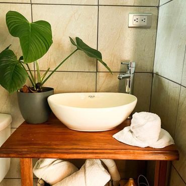 Modern bathroom sink with a wooden countertop, plant, and rolled towel.
