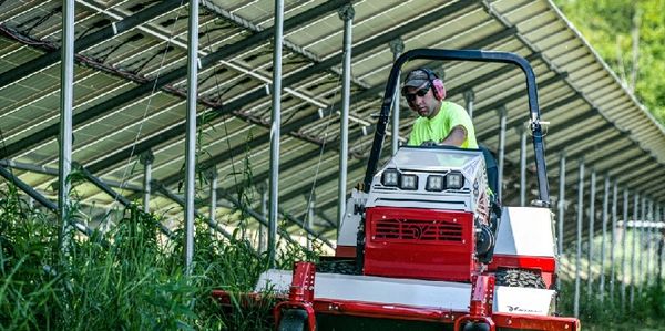 Mowing a solar field in Maine