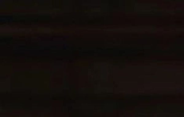 green and white wedding flowers