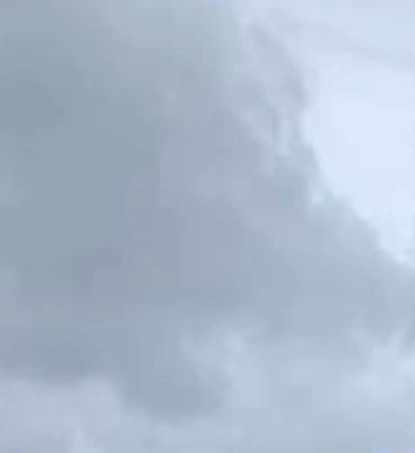 bridal flowers #floristchristchurch #samedayflowerdelivery #christchurchflorist #cocoroseflorist