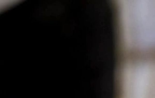 wedding table bud vase decorations