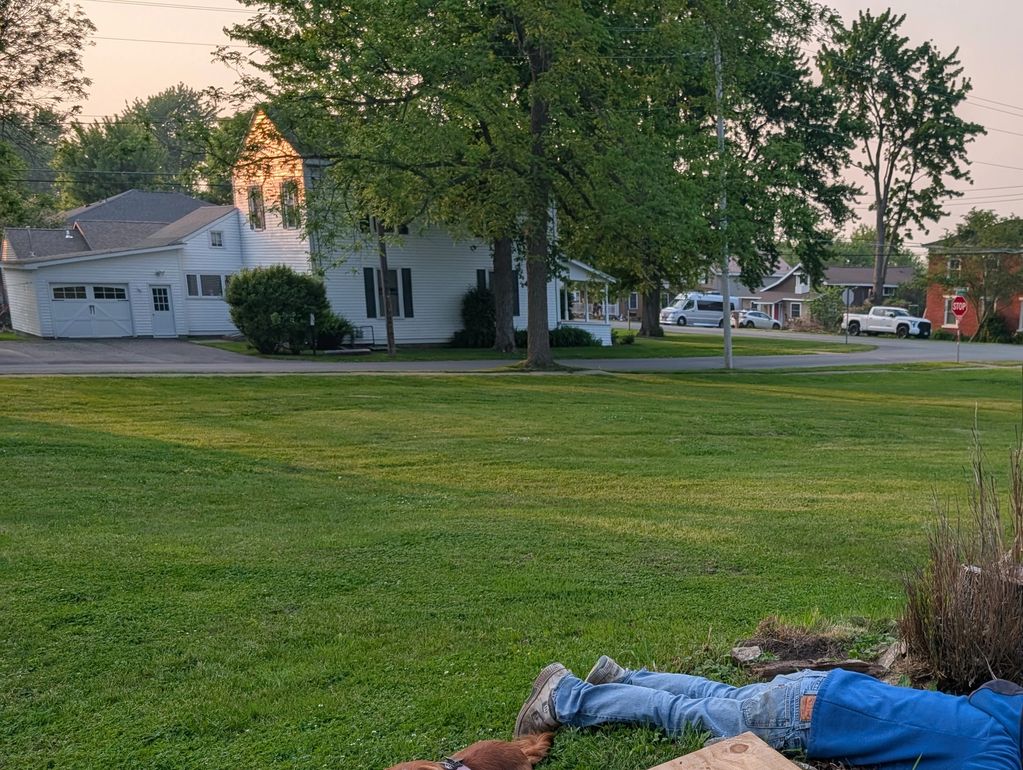 Man inspecting a hole in the ground while a dog lies nearby on the grass.