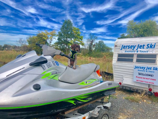 jet ski german shorthaired pointer newjerseyjetski.com yamaha v1 silver and green waverunner nj nyc