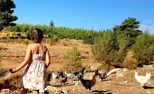 permakültür bahçemizdeki doğadaki çocuklar