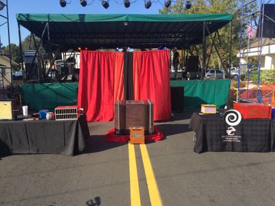 Stage Magician the Amazing Ziggy high-energy show for all ages