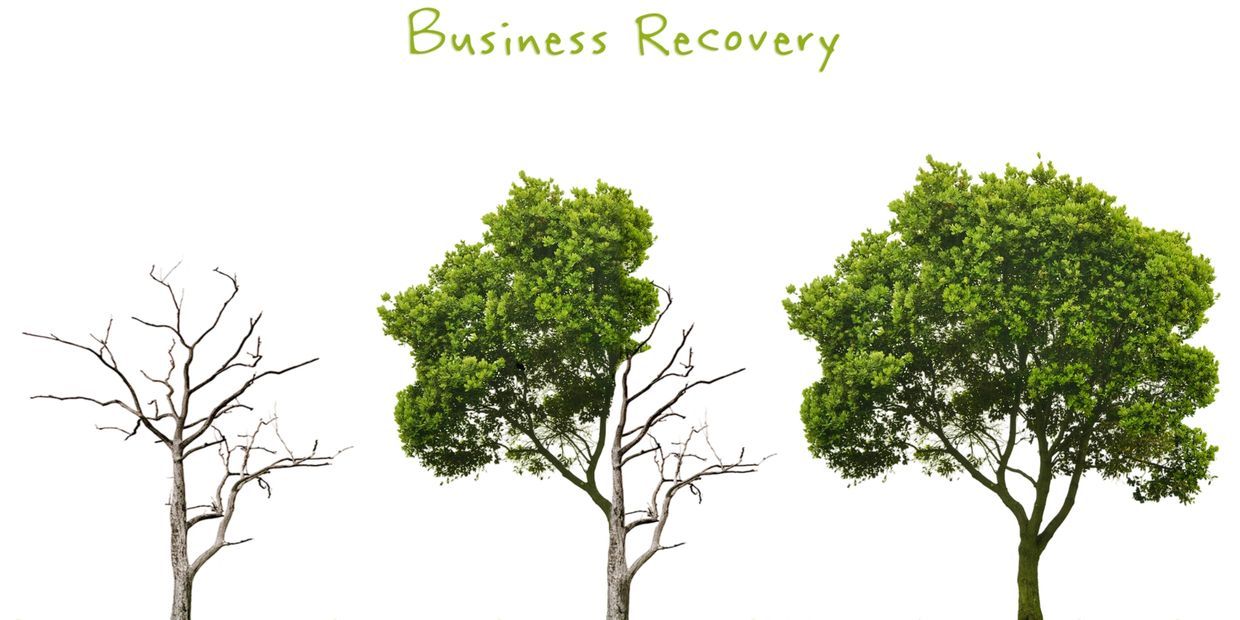 Business recovery. Growing your business